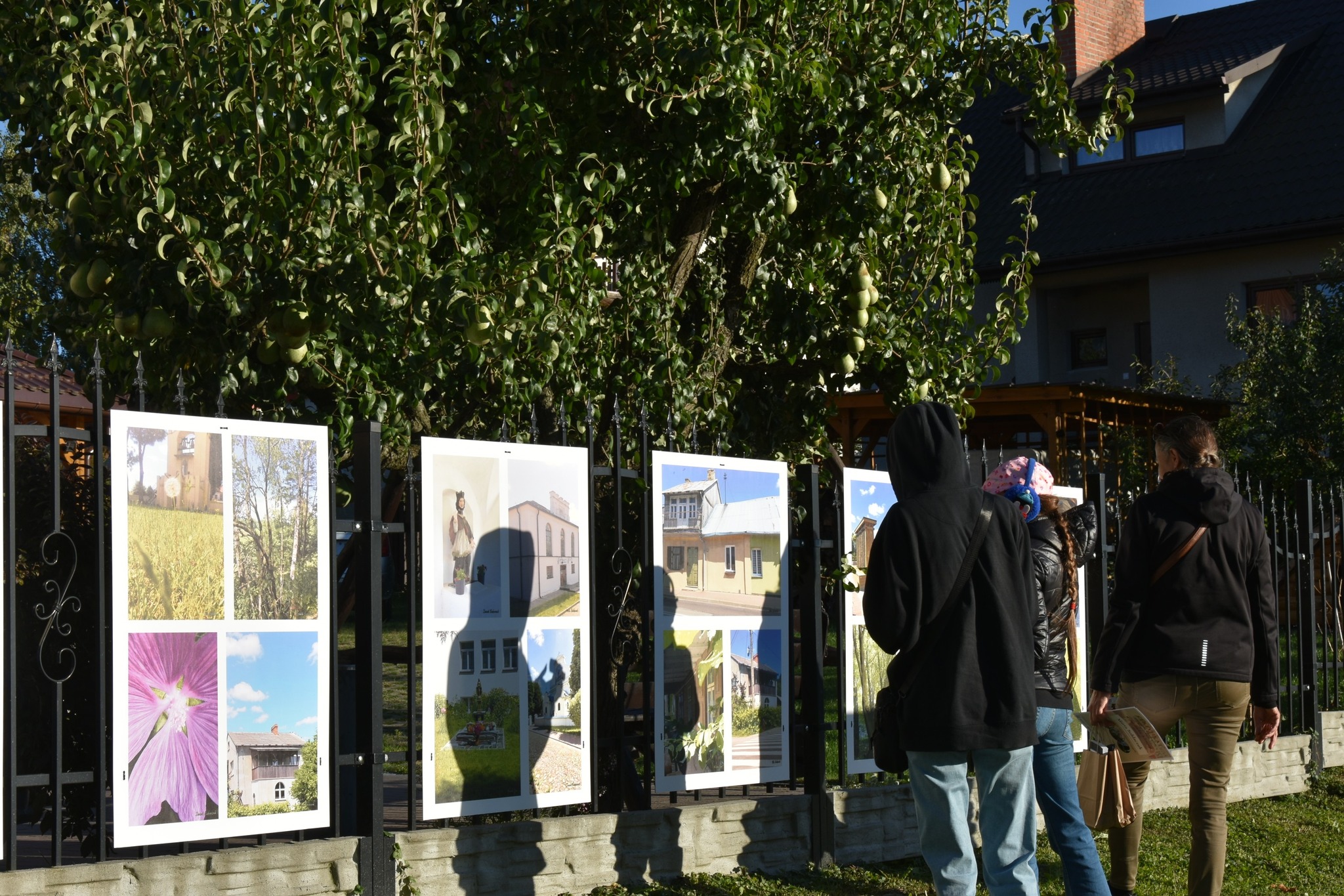 Wojsławickie Klimaty. Wojsławice w obiektywie dzieci i młodzieży - wernisaż wystawy